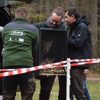 EU - Projekt LIFE Luchs Pfälzerwald, reintrodukcia rysa, Falcký les